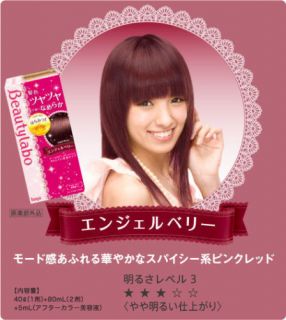 Hoyu Japan Beautylabo Hair Color Dying Kit