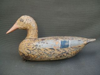 Bill Shaw Lacon Illinois Mallard Hen with weight Vintage Wooden Duck