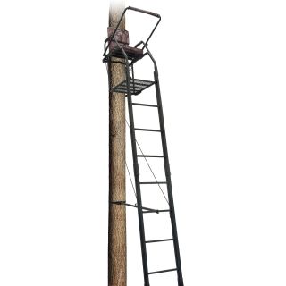 Big Dog 21 Ladder Treestand