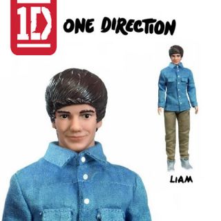 One Direction 1D Liam Payne Barbie Doll Hasbro 12  British Boy Band