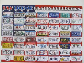 USA License Plate Poster All 50 States