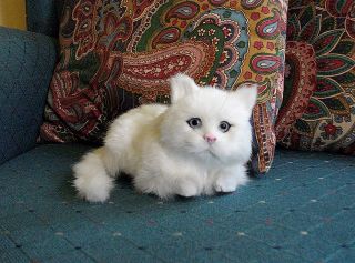 REALISTIC KITTY CAT fake fur FURRY ANIMAL REPLICA toy sync344w FREE