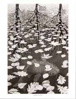 Escher Print Three Worlds Koi in Pond
