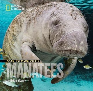 Face to Face with Manatees by Skerry Brian