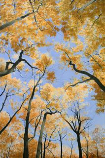 Alexander Volkov Maples Trees Landscape