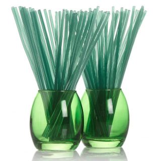 Joy Mangano Bamboo Breeze Forever Fragrant Odor Eliminating Sticks
