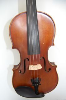Sofia Mari 305E 4 4 Violin with Case