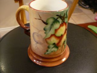 RC Rosenthal Bavaria Stein Mug Tankard Fruit Motif Ceramic
