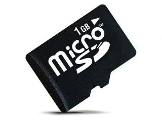 10 1GB Micro SD SDHC Mobile Phone Memory Card for Cell Phones
