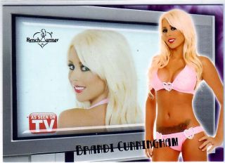 Bench Warmer 2009 as Seen on TV Insert Card 7