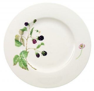 Villeroy Boch Wildberries Dinner Plate