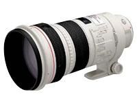 Canon EF 300 mm F 2.8 L IS USM Lens