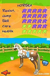 Petz Horsez 2 Nintendo DS, 2007