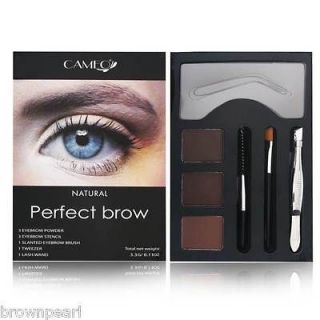 Cameo Cosmetics Perfect Brow Natural Eyebrow Colors Stencils Tweezers