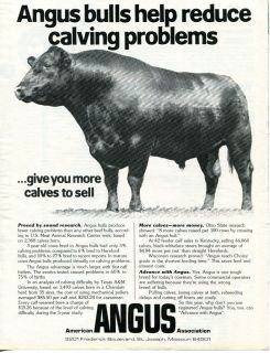 1982 American Angus Association Bull Ad