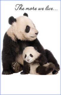 Vanishing Planet Giant Panda & Baby Portrait Happy Birthday Greeting