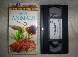 VHS 7A See How They Grow Sea Animals Pipefish Cuttlefish Hermit Crab