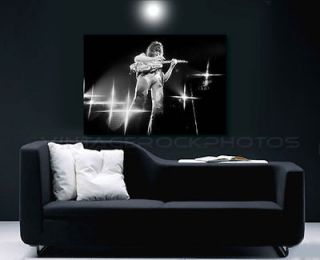 Eddie Van Halen 20x30 inch Fine Art Gallery Canvas Framed Gilcee