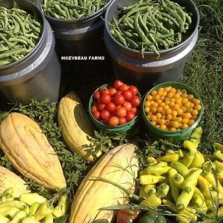 101 DIFFERENT Fruit, Veggie, & Herb Seeds. GARDEN/SURVIVA L DREAM SEED