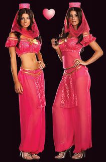 Belly Dancer Princess Aladdin Arabian Nights Fancy Dress Costume Pink
