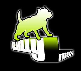 CHEAP PRICE BULLYMAX 1 YEAR SUPPLY BULLY MAX