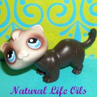 Littlest Pet Shop~#33 CHOCOLATE BROWN SMALL BABY FERRET Blue Eyes~LPS