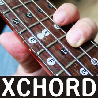 XCHORD Melody Scale 4 String Bass Guitar Sticker   XBG4 Fretboard Note
