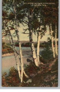 Linen Postcard~River & Birch Trees~New Hampshire/NH