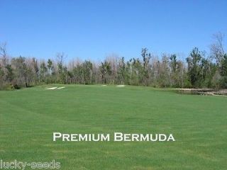 Bermuda Grass Seeds Hulled Premium Grade 2lbs Bag