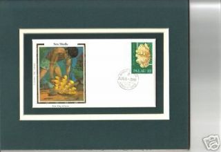 Shells FLUTED GIANT CLAM, 1st Day Postal Cover, Palau