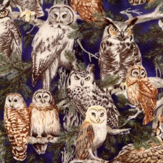 Yard Back Yard Bandits Owls Cotton Fabric