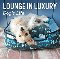 Dog/Cat/Pet Velvet Lounge Bed  Dogs Life S,M,L,XL   2 Colors/Recycle