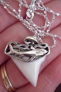 Brite White Shark Tooth Pendant SILVER Necklace 20