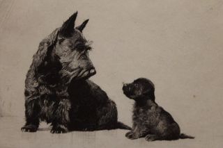 Original 1930 *Morgan Dennis* Scottish Terrier Scotty Dog & Puppie