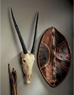 African Savannah Majestic Horns Gemsbok Skull Animal Wall Trophy