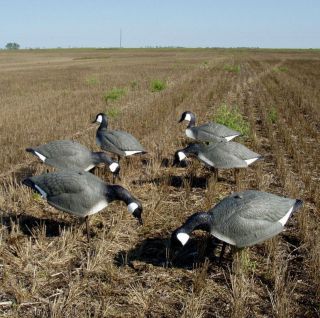 CARRY LITE ONE PIECE CANADA GOOSE SHELL DECOYS 6 NEW
