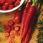 Carrot Seeds ★ Nutri Red ★ Long, Slender, Red ★ Heirloom Garden