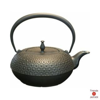Japanese Iron owl Teapot Kettle Pot Teakettle Seieido H 193 Vintage