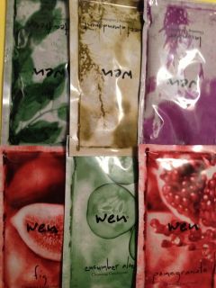 Wen Hair Care by Chaz Dean Set of (2) 2oz. Travel Packets Your Choice