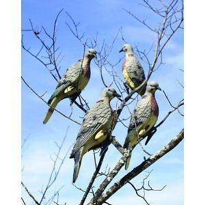 Edge by Expedite Clip On Dove Decoys (4 Pack)