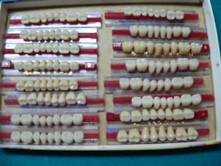Posterior acrylic denture teeth