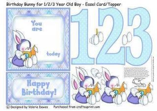 Bunny for 1/2/3 year Old Boy   Easel Card/Topper by Valerie Dawes