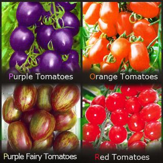 30 Kinds Tomato Seeds Heirloom Tomato Mix Green Organic Fruit
