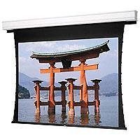 Electrol   Audio Vision Video Format 50 X 67 Projector Screen