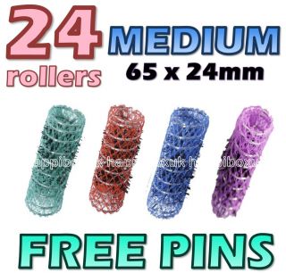 24x 24mm MEDIUM Hair Rollers Plastic Comb Curler + PINS