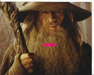 The Hobbit: An Unexpected Journey Ian McKellan as Gandalf Staff an Hat