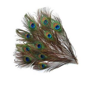 10 Peacock Eye Tail Feather Masquerade Decoration For Party Dress