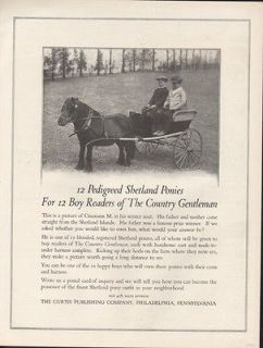 1916 CURTIS PUBLISHING CHARMER M SHETLAND PONY HORSE CART PULL DRIVE