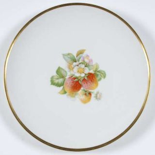 Hutschenreuther Fruit (Favorit Shape) Dinner Plate, Fine China Dinnerware   Favo