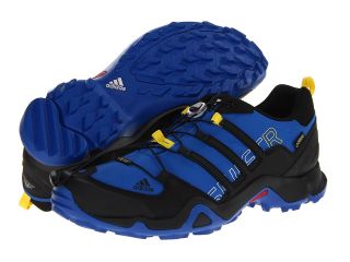adidas Outdoor Terrex Swift R GTX Mens Shoes (Blue)
